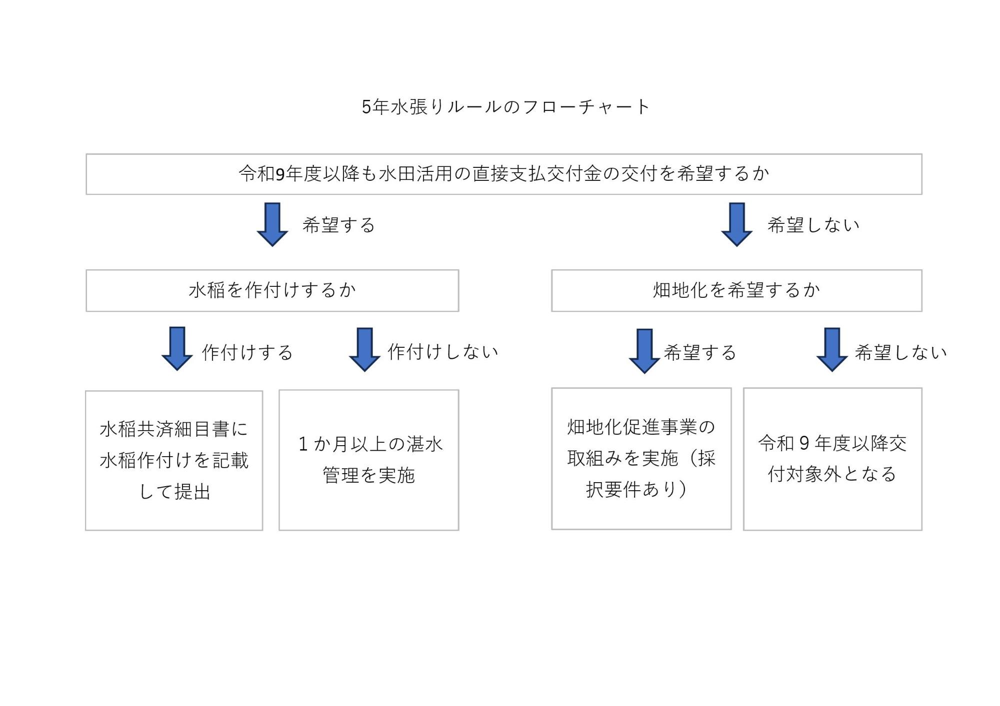 5年水張りルールフローチャート